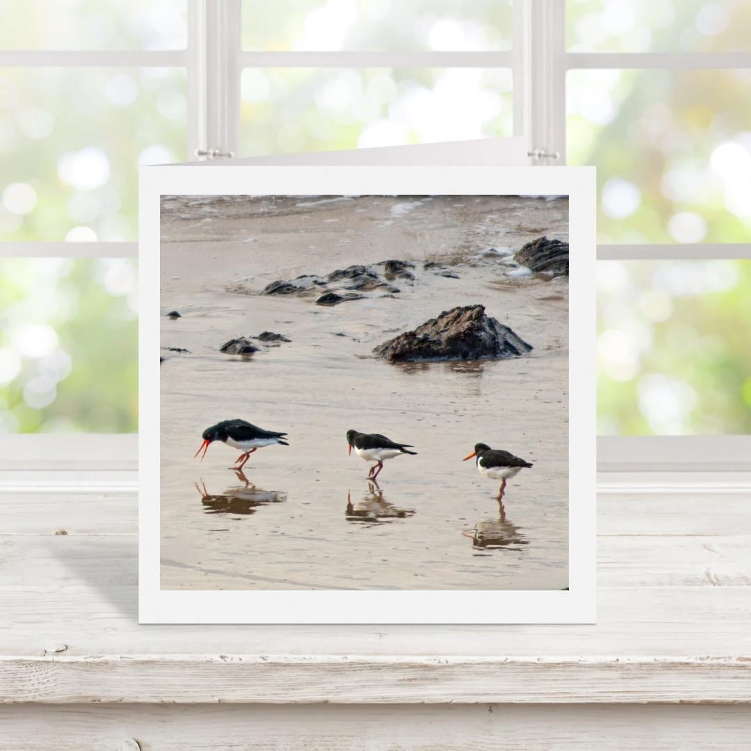 Greetings card of three oystercatcher birds on a beach. There is a blurred window background behind the card