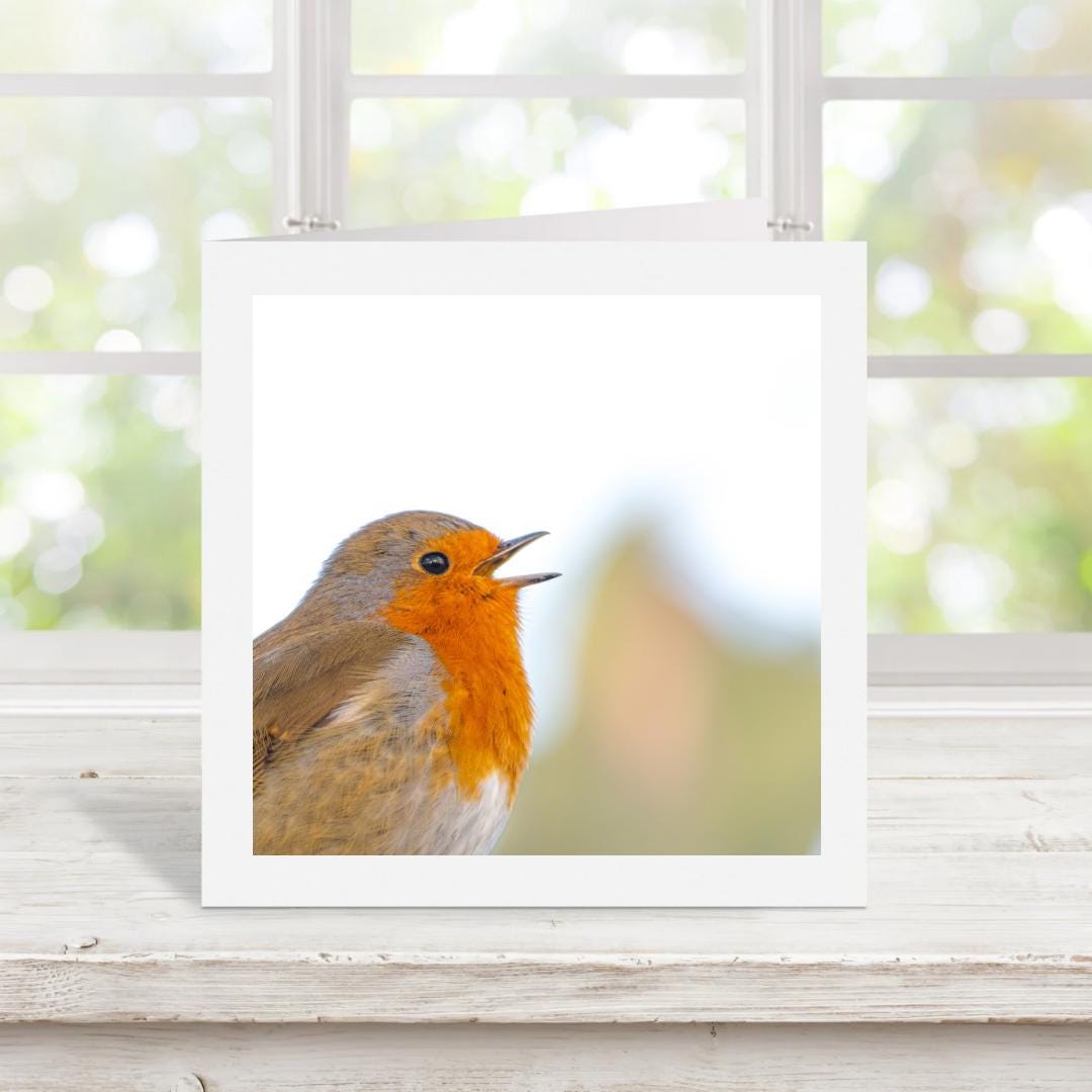 Greetings card of a robin on a wooden surface with a window in the background