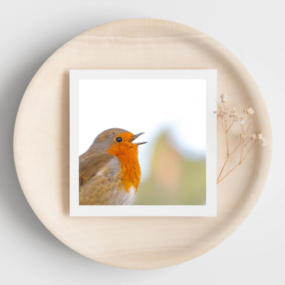 Greetings card of a robin singing. The card is displayed on a wooden plate with dried flowers.