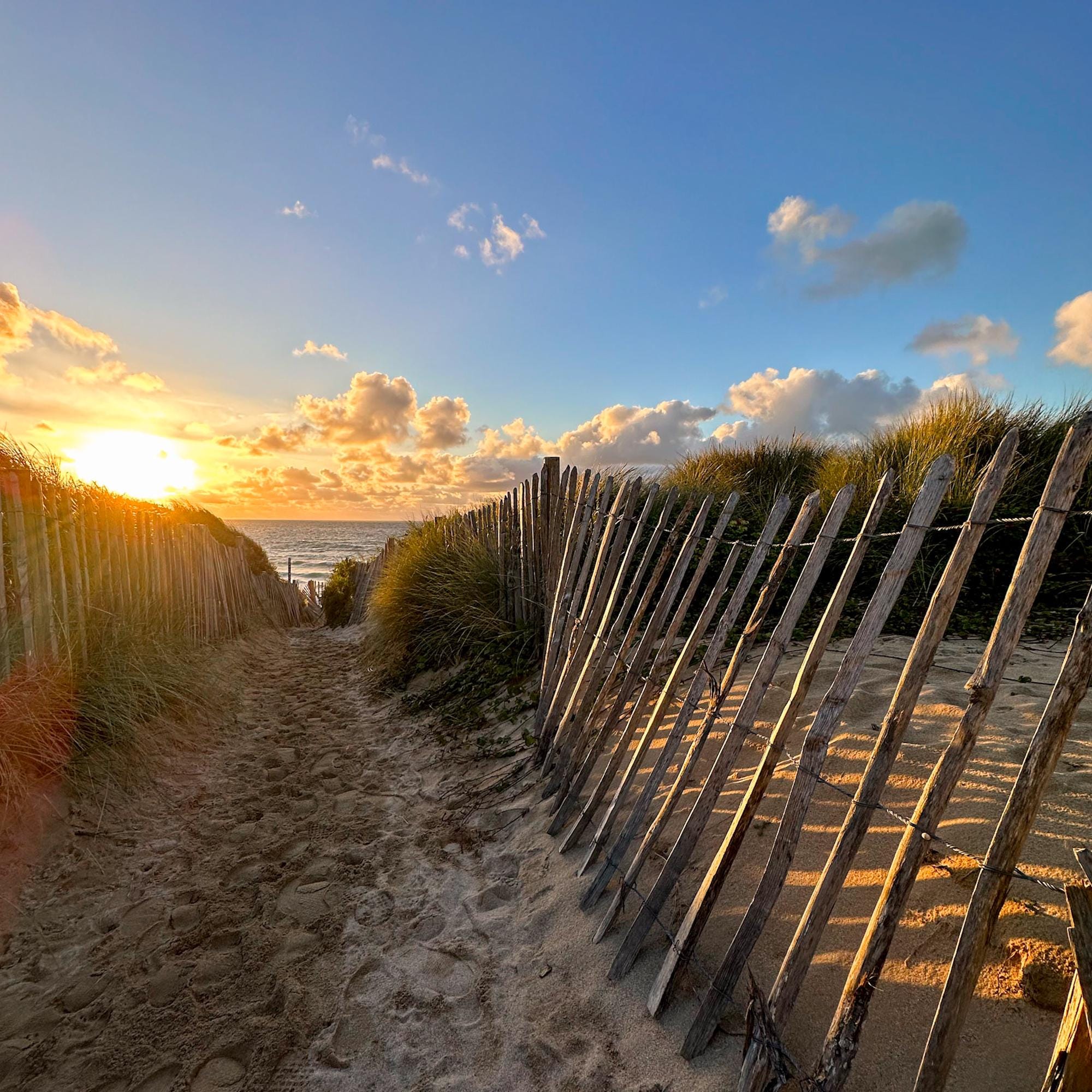 Photograph of a Sunset over a beach with a wooden fence and grassy dunes.