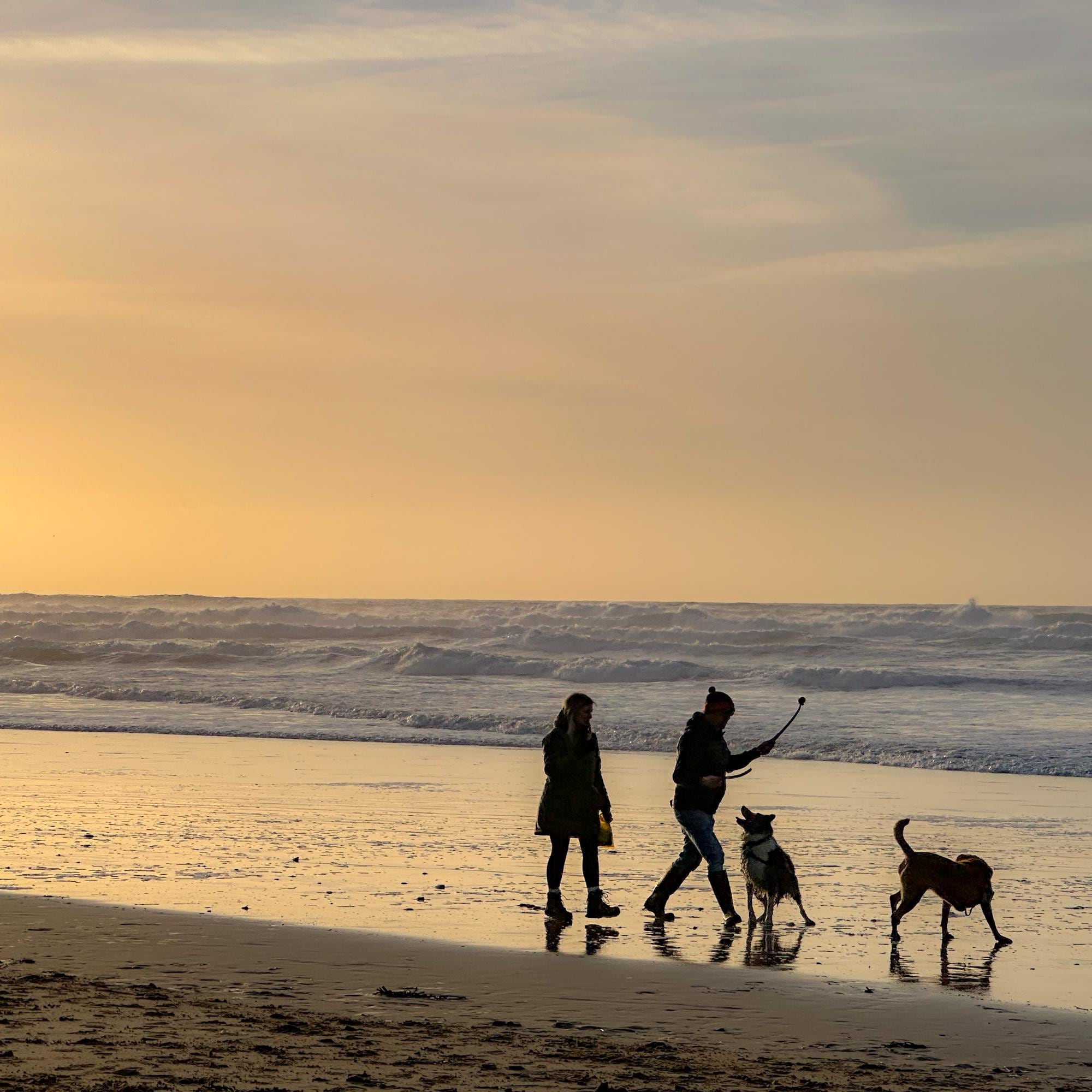 Two people walking with two dogs on a beach at sunset.