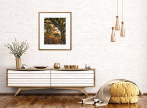 Modern living room with a wooden console table, decorative pillows, and framed sunlit autumn tree artwork.
