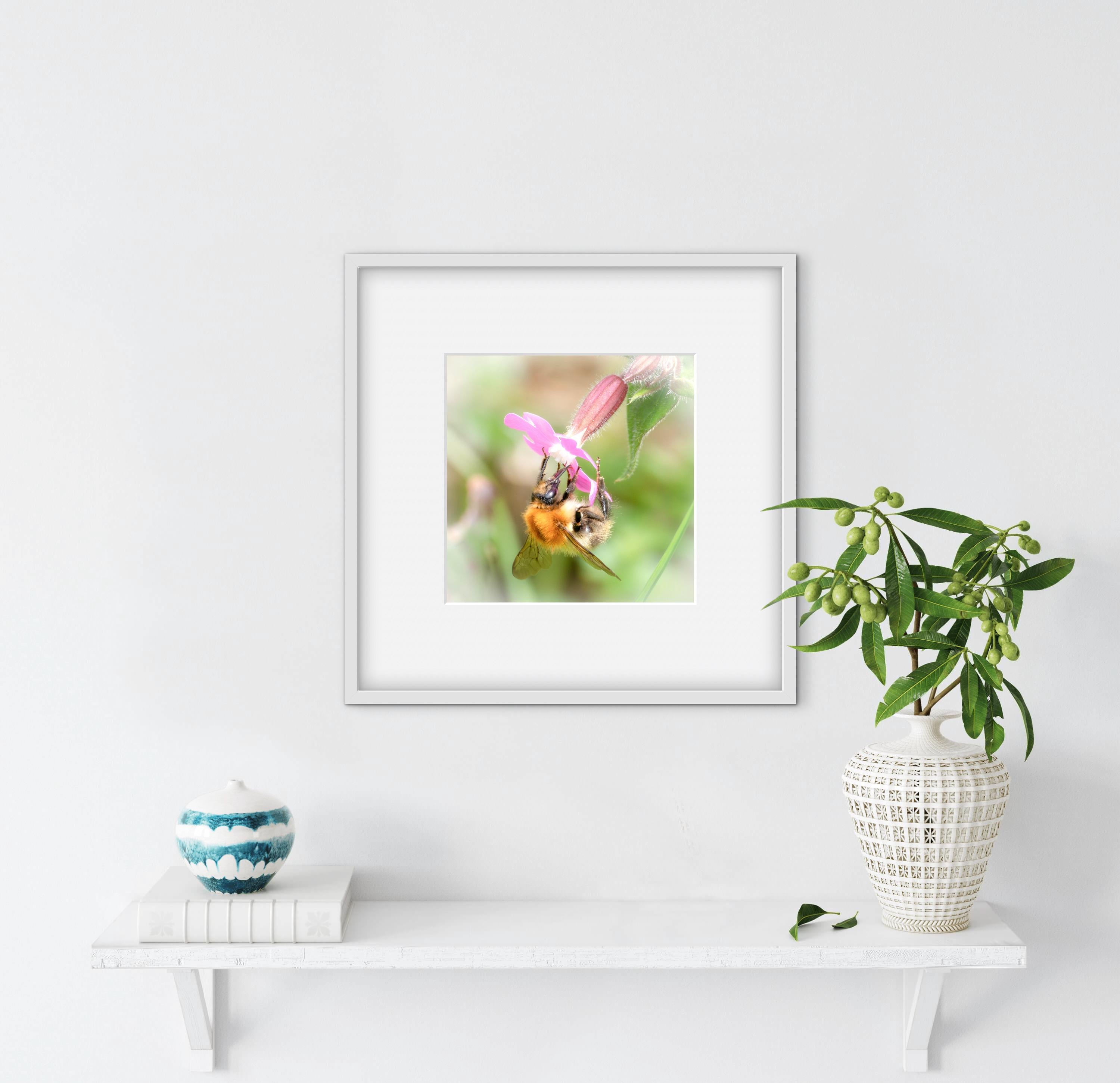 Framed photograph of a bee on a flower above a white surface with decorative items.