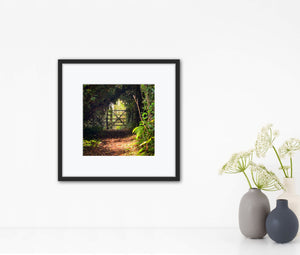Wooden gate at the end of a sun dappled woodland path with a tunnel of trees. Mounted in a black frame on a white wall with vases of seedheads