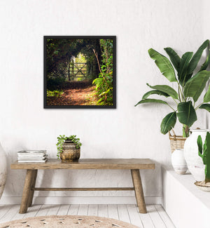 Wooden gate at the end of a sun dappled woodland path with a tunnel of trees. Photo in a black frame above a wooden bench