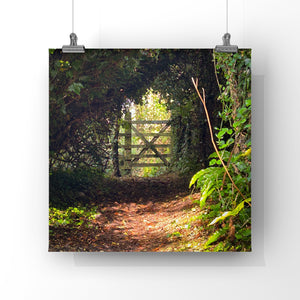 Wooden gate at the end of a forest path with sunlight filtering through the trees print hanging from two wires and clips