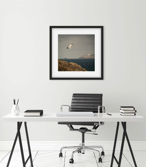 Gannet diving picture in black frame above a modern black and white office desk