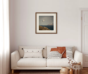 diving gannet bird and lighthouse print in wooden frame above a boho sofa