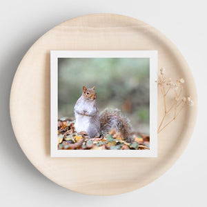 White bordered card with a  photograph of a squirrel with a blurred natural background. The card is on a wooden plate 