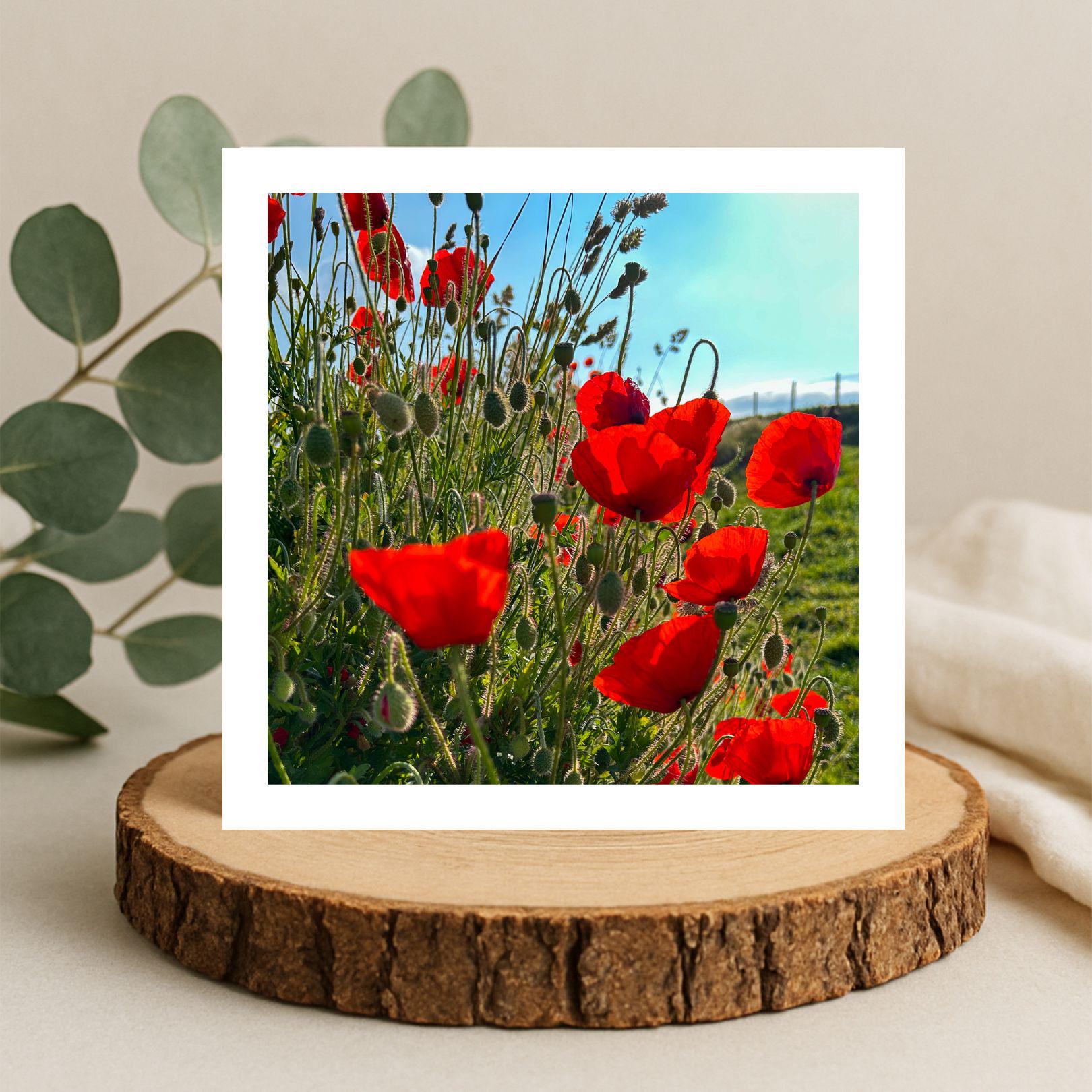 White bordered greetings card of red poppies and blue sky displayed on a wooden stand with a natural background