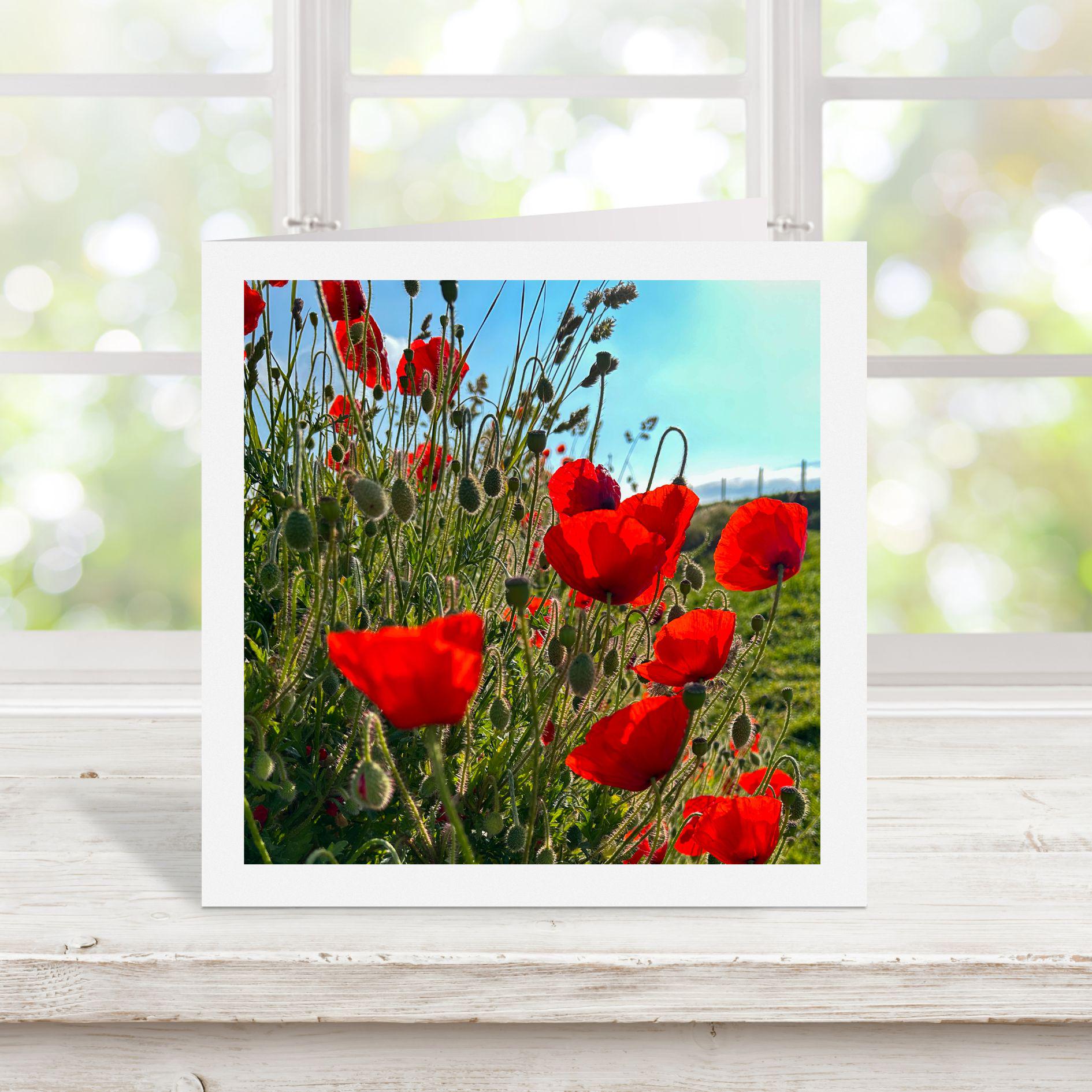 White bordered greetings card of red poppies with a blue sky. Displayed on a wooden surface with a blurred natural background