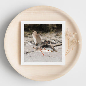 White bordered photograph of two birds with a blurred natural background on the front of a greetings card. The card is on a round beige surface 