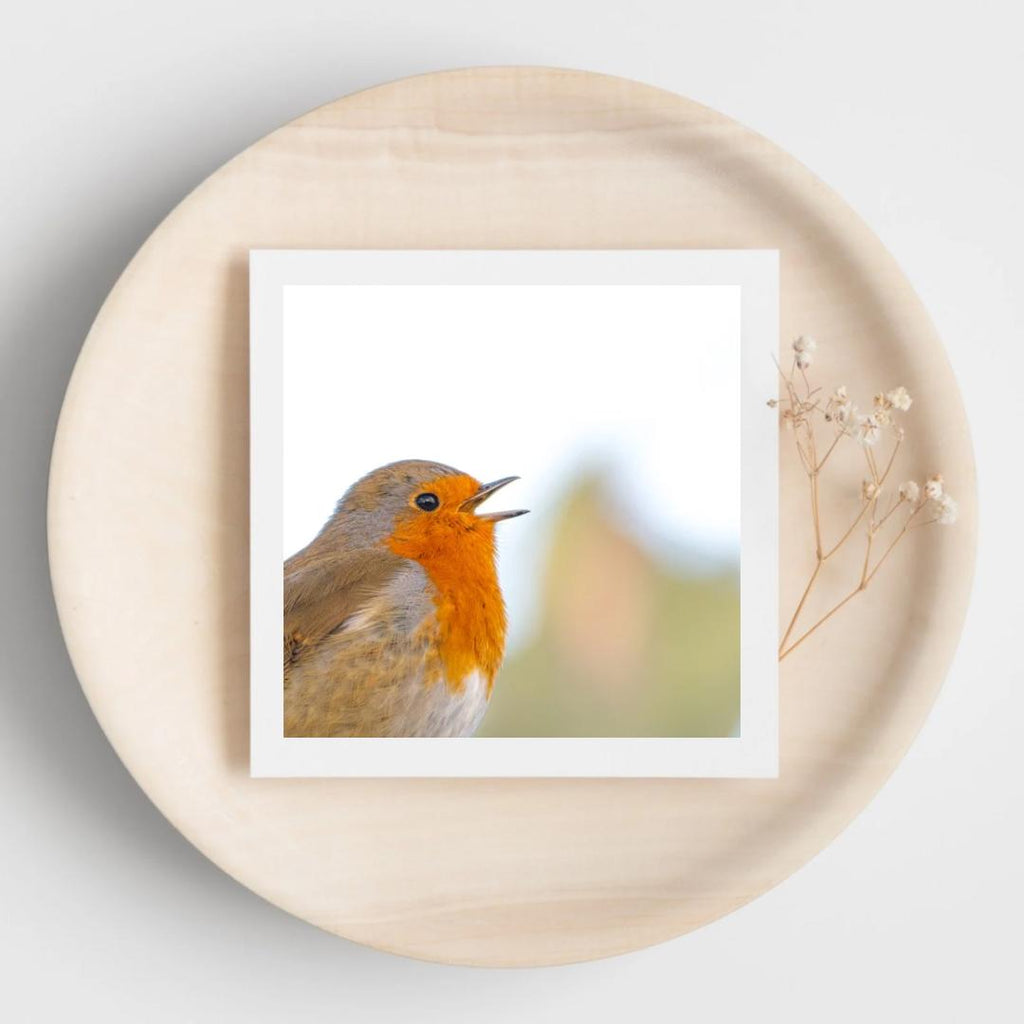 Greetings card of a robin singing. The card is displayed on a wooden plate with dried flowers.