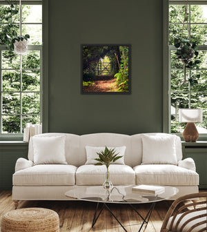 Wooden gate at the end of a sun dappled woodland path with a tunnel of trees. Print in a black frame on a green wall above a sofa
