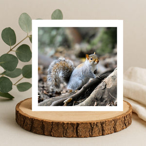 Squirrel on a a tree trunk with a blurred natural background on the front of a square greetings card