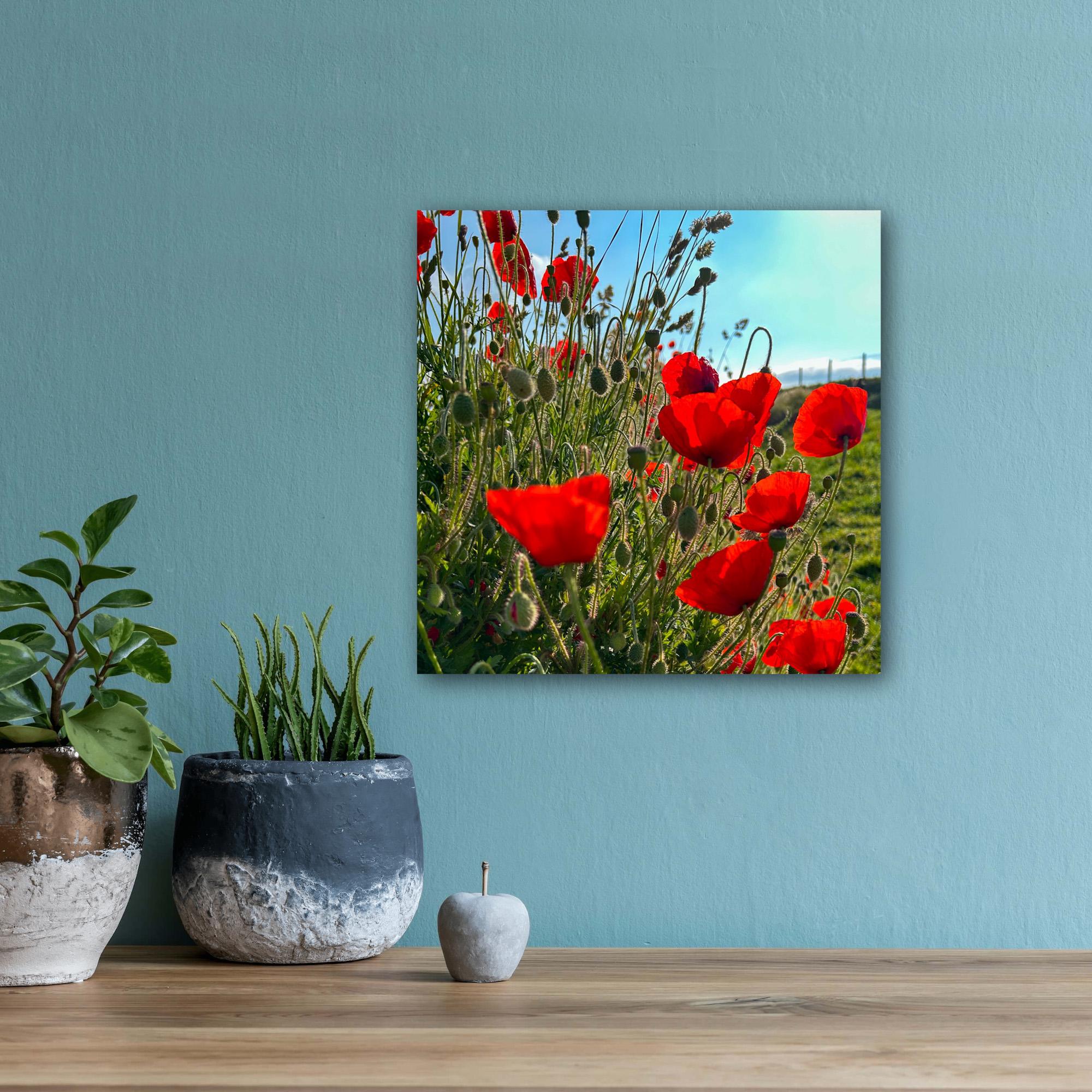 Unframed print of red poppies on a blue wall with two potted plants and a small sculpture on a wooden surface.